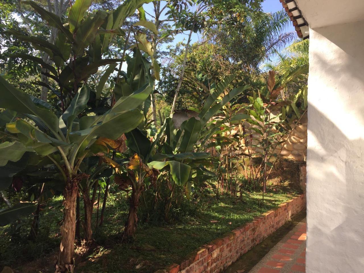 Hotel Casona Las Juanas San José de Pare Εξωτερικό φωτογραφία